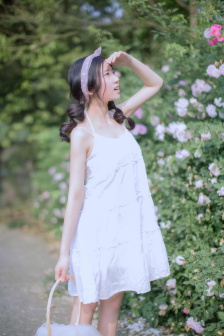 黎明绝杀